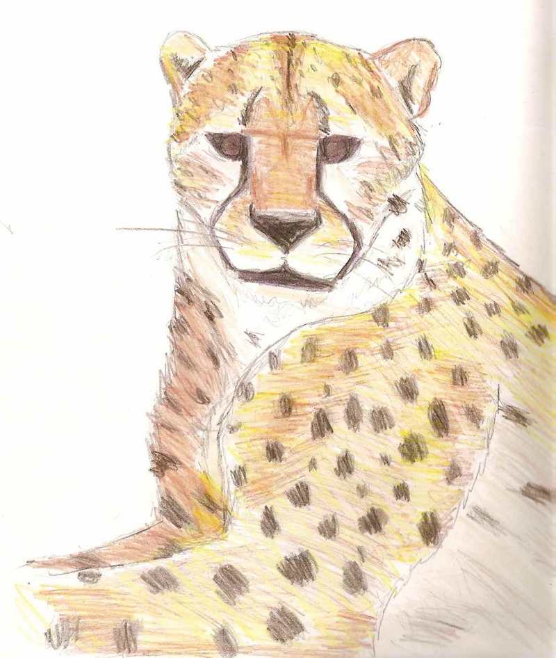 un petit gu�pard au cr.. Loisirs - Art - 